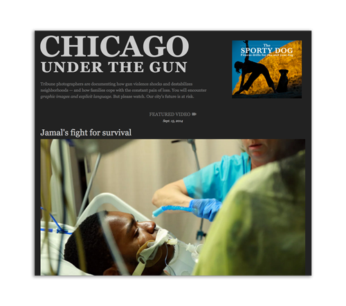 Chicago Under the Gun