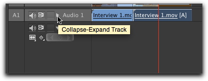 Collapse-expand track