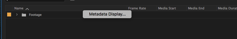 Metadata display